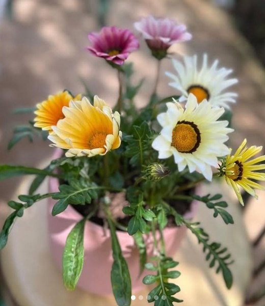 Fresh flowers and indoor plants arranged in our handmade pots